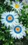 Плетени Обеци ,,Синьо лято", снимка 1 - Обеци - 28819487