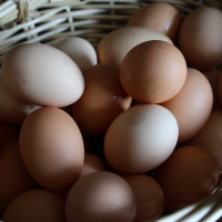 Домашни Яйца 15лв кора, снимка 3 - други­ - 36397255