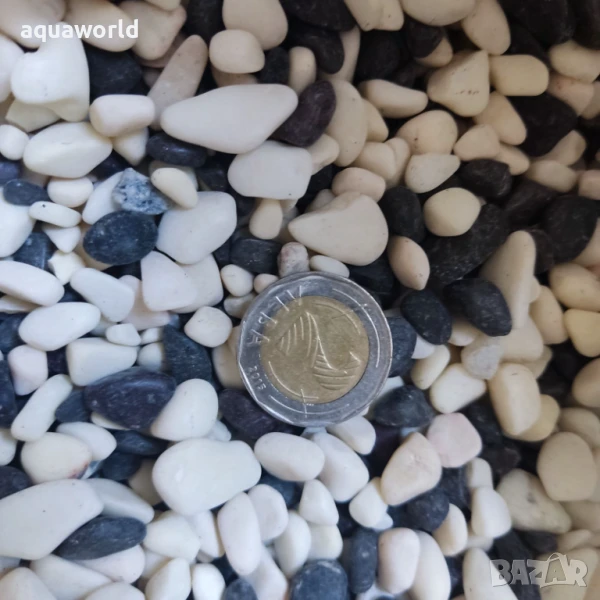 "ПРОМОЦИЯ" Грунд Бяло с черно 5 - 8мм, снимка 1