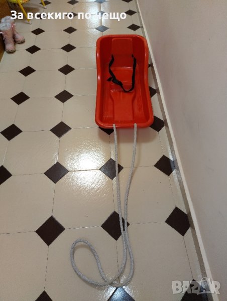 Шейна , снимка 1