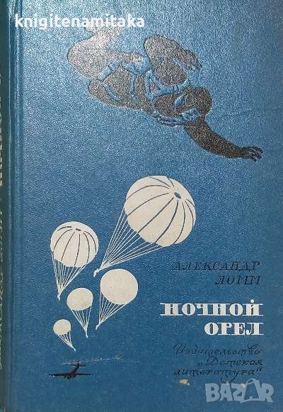 Ночной орел - Александр Ломм, снимка 1