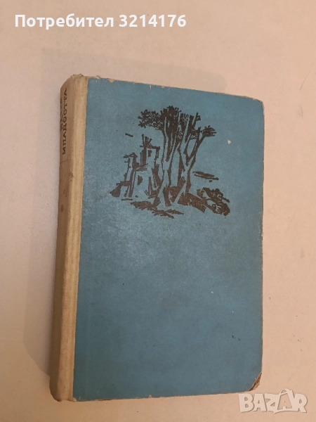 Очите на младостта - Борис Крумов, снимка 1