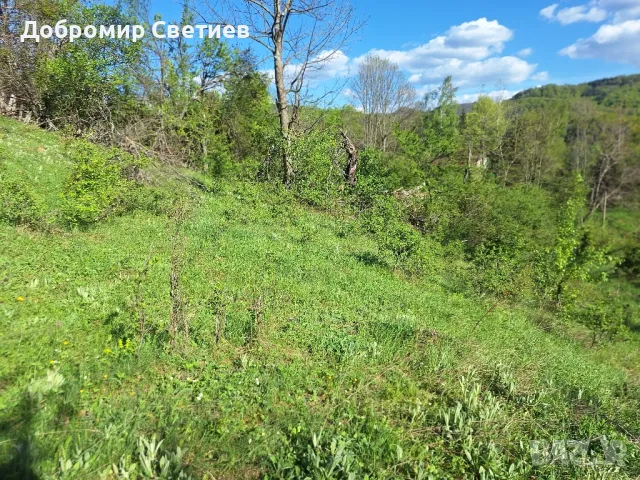 парцел в Еленският балкан , снимка 6 - Парцели - 50342176