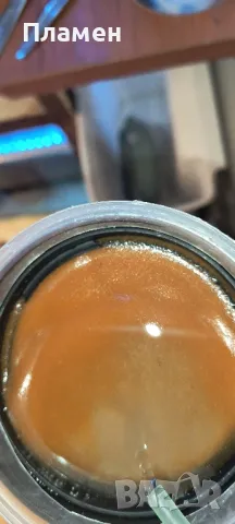 артемия за люпене , снимка 3 - Рибки - 47024485