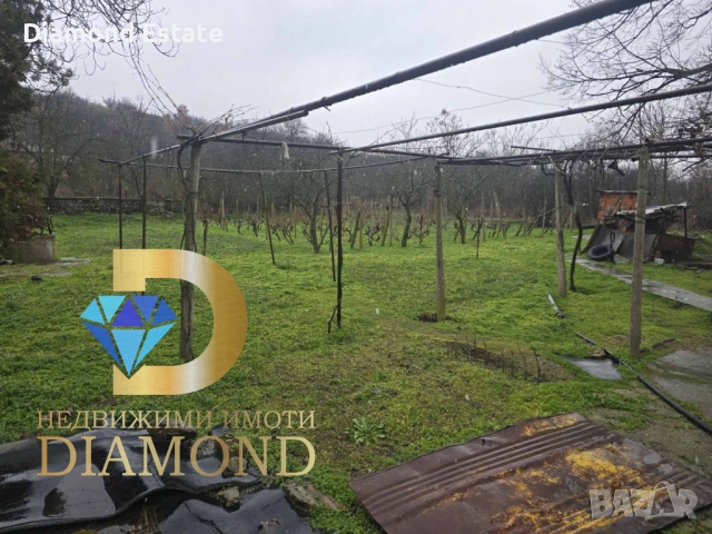 Къща в село Дряново, общ. Симеоновград, снимка 8 - Къщи - 53336547