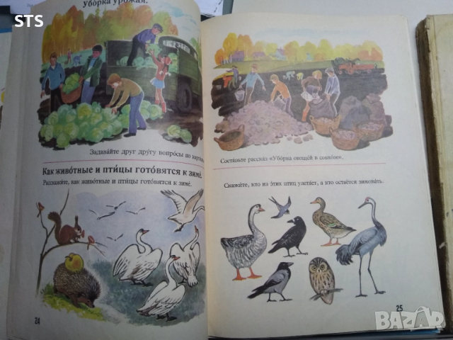 2 книги: Руски буквар, Русский язык в картинках 5 лв бр., снимка 2 - Детски книжки - 51449537