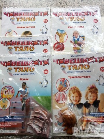 Поредица детски списания "Човешкото тяло", снимка 7 - Колекции - 38673094