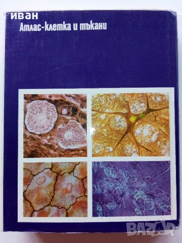 Атлас клетка и тъкани - Е.Чакъров,Ч.Начев - 1993г., снимка 11 - Енциклопедии, справочници - 39907688