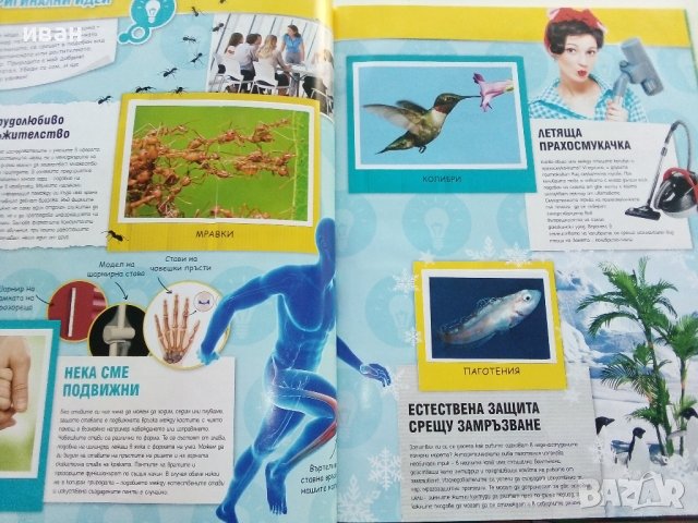 Стикер- албум "Изобретено от природата" - Била, снимка 4 - Колекции - 43906535