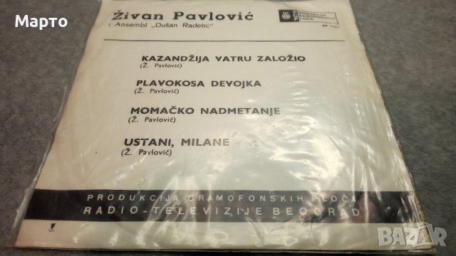 Малки сръбски плочи, класика от едно време – Рака Николич, Раде Петрович, Драгослав Белич и други…., снимка 10 - Грамофонни плочи - 43832059