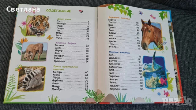 Детски книжки на руски език , снимка 10 - Детски книжки - 50683527