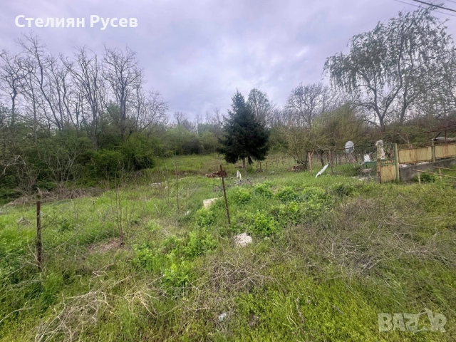 къща / терен / градина / парцел 1472 кв в с. Калипетрово, в близост до центъра / до Добруджанска къщ, снимка 7 - Къщи - 51976050