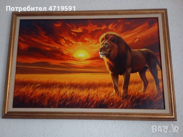 Картини с размер 77/53см, снимка 3 - Други - 53228228