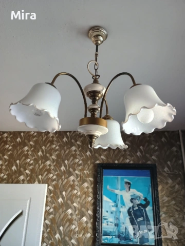 Полилей, снимка 2 - Полилеи - 53131378