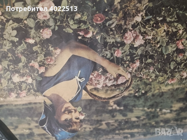 Продава, снимка 2 - Антикварни и старинни предмети - 51940059