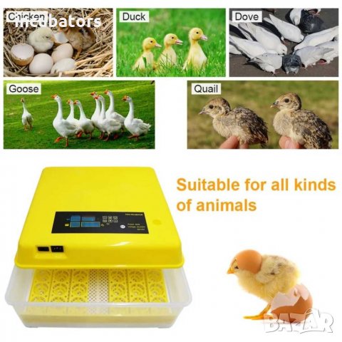 Автоматичен инкубатор с влагомер и двойно захранване 220+12v, снимка 9 - За селскостопански - 30957574