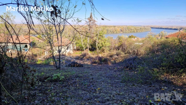 Продавам къща с изглед към р. Дунав., снимка 3 - Къщи - 52426500