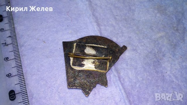 БПФК 1923-1944 Стара РЯДКА ЕМАЙЛИРАНА ПОСРЕБРЕНА БРОНЗОВА НРБ ЗНАЧКА 21506, снимка 4 - Колекции - 38465260