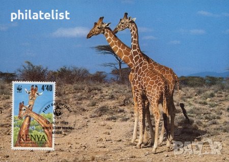 Кения 1989 4 броя Карти Максимум - WWF, снимка 3 - Филателия - 38881610