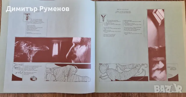 Плоча грамофон - Vinyl, снимка 5 - Грамофонни плочи - 48086358