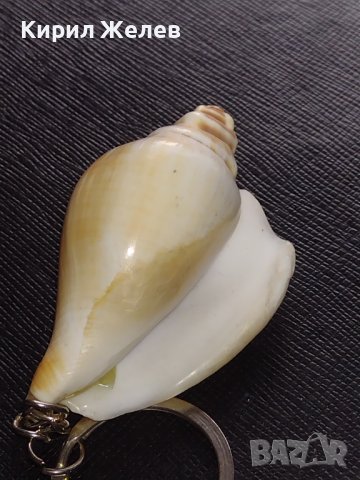 Ключодържател сувенир от морето екзотичен рапан много красив 42652, снимка 3 - Други - 43682244