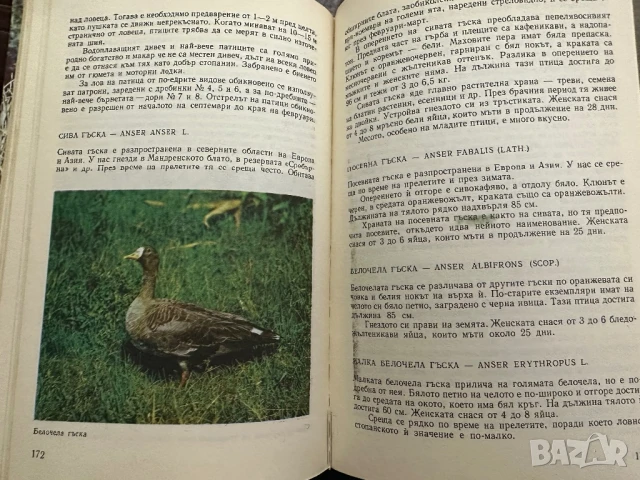 Книга за ловеца и риболовеца-Ради Царев, снимка 4 - Енциклопедии, справочници - 50991693