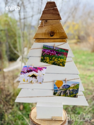 Коледна стойка за твоите кадри