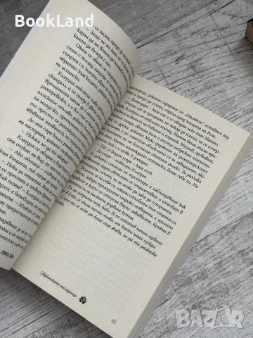 Кубинската наследница| Сорая Лейн, снимка 10 - Художествена литература - 53565174