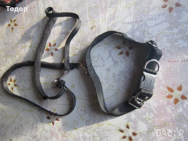 Страхотна каишка за куче , снимка 4 - За кучета - 27399009
