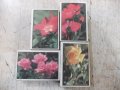 Лот от 4 бр. кибрита с цветя български, снимка 2