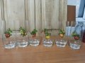 Водни стъклени чаши, снимка 1 - Антикварни и старинни предмети - 38583969