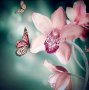 Диамантен Гоблен "Розова орхидея", снимка 1 - Гоблени - 26372050