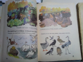2 книги: Руски буквар, Русский язык в картинках 5 лв бр., снимка 2