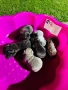 Френски булдог, снимка 7