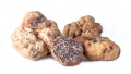 Пресни трюфели – TUBER BORCHII (Бял пролетен трюфел), снимка 1