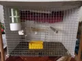 клетка за птици, снимка 1