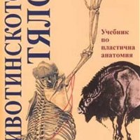 Животинското тяло Учебник по пластична анатомия Годфрид Бамес download pdf, снимка 1 - Енциклопедии, справочници - 28299610