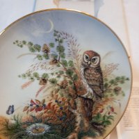 Декоративна порцеланова чиния сова, снимка 3 - Колекции - 38268532