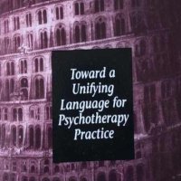 Escape from Babel: Toward a Unifying Language for Psychotherapy Practice , снимка 1 - Специализирана литература - 43015348