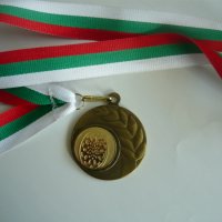 Спортни медали ( спортни отличия ), снимка 14 - Антикварни и старинни предмети - 23601974