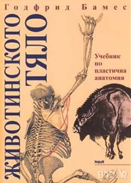 Животинското тяло Учебник по пластична анатомия Годфрид Бамес download pdf, снимка 1