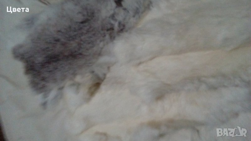 Заешки кожи, снимка 1