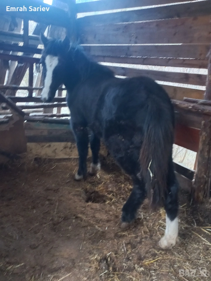 продава се на 10месеца , снимка 1