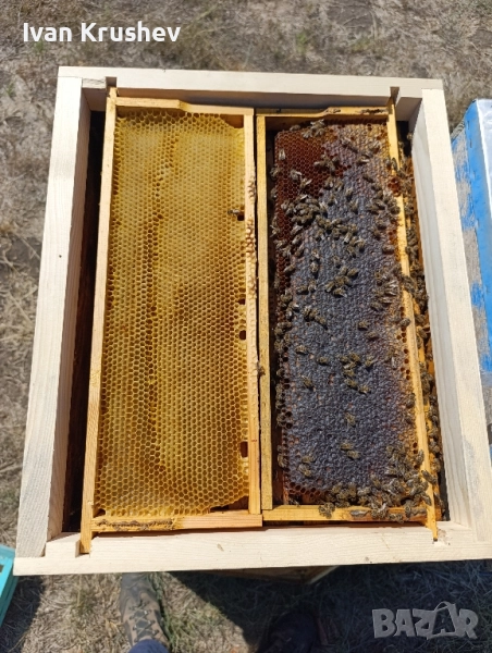 Хранителна наставка за 10 рамков кошер, снимка 1