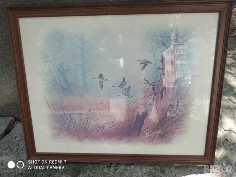 картина птици принт в Картини в гр София Id35003728 — Bazarbg
