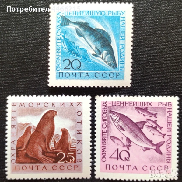 СССР, 1960 г. - пълна серия чисти марки, риби, 1*38, снимка 1