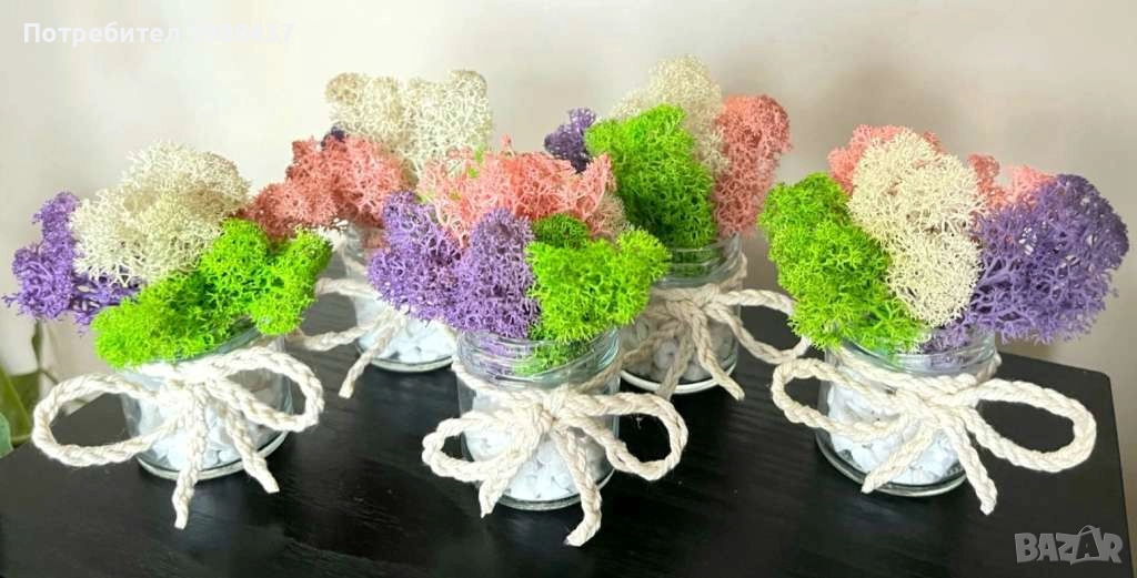 Картини /Подаръчета за повод от скандинавски мъх, снимка 1