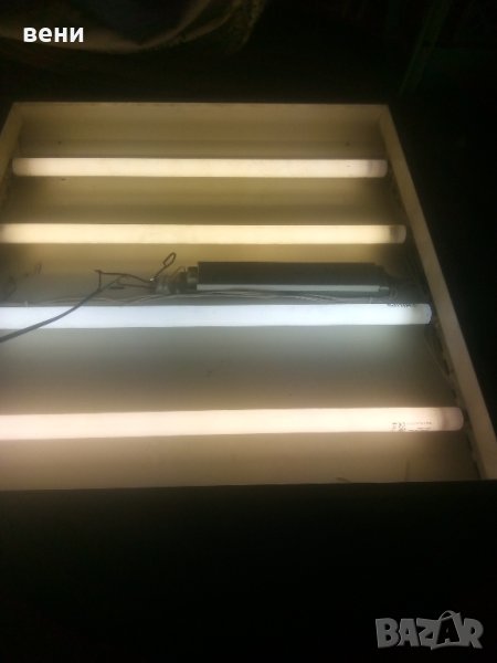 луминесцентни лампи , снимка 1