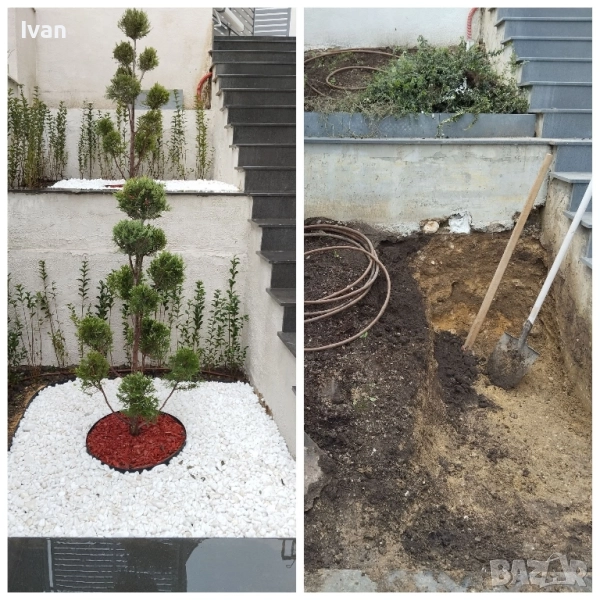 озеленяване , снимка 1