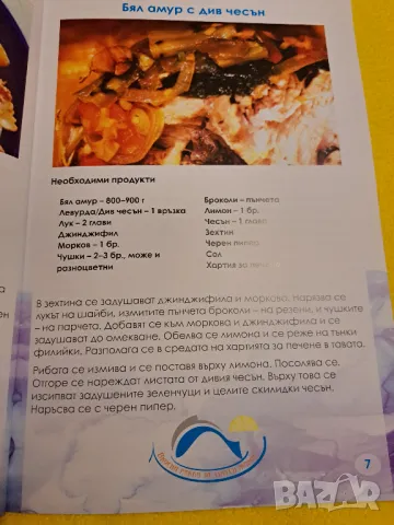 Книги и рецепти за готвене на риба, снимка 8 - Други - 47552331